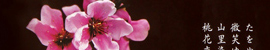 甲州市「ひな飾りと桃の花まつりポスター」
